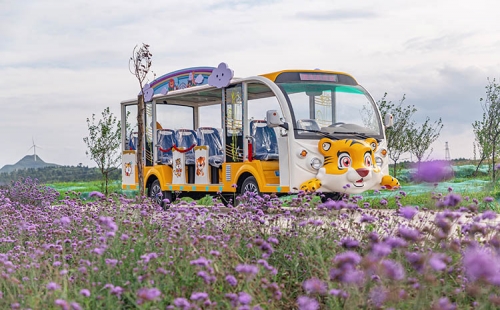 電動(dòng)觀光車相對(duì)燃油觀光車來說有什么優(yōu)勢(shì)？