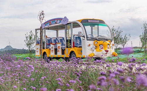電動觀光車廠家哪個(gè)品牌好，電動觀光車市場價(jià)格